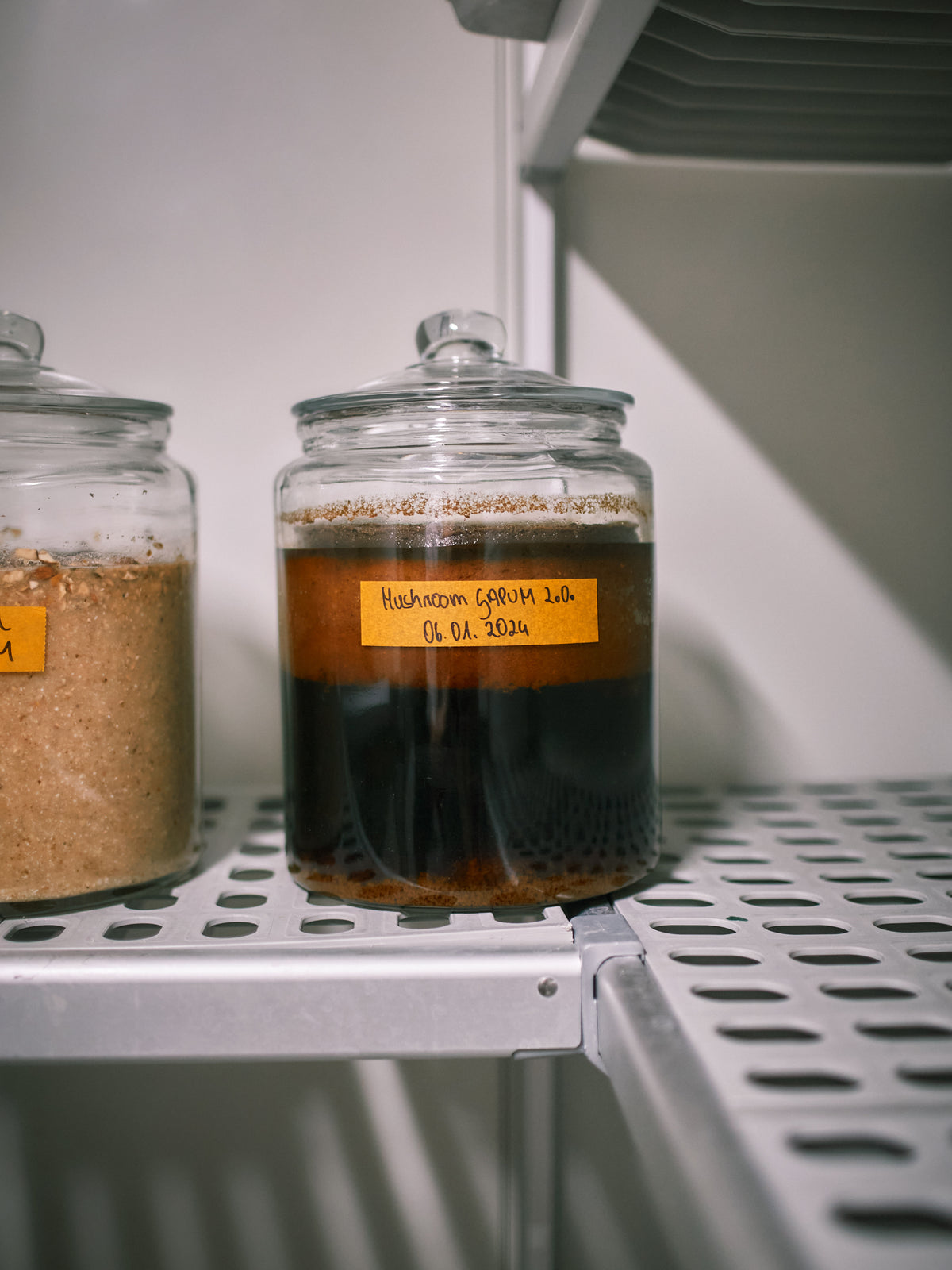 The Lab Dispatch: Garum