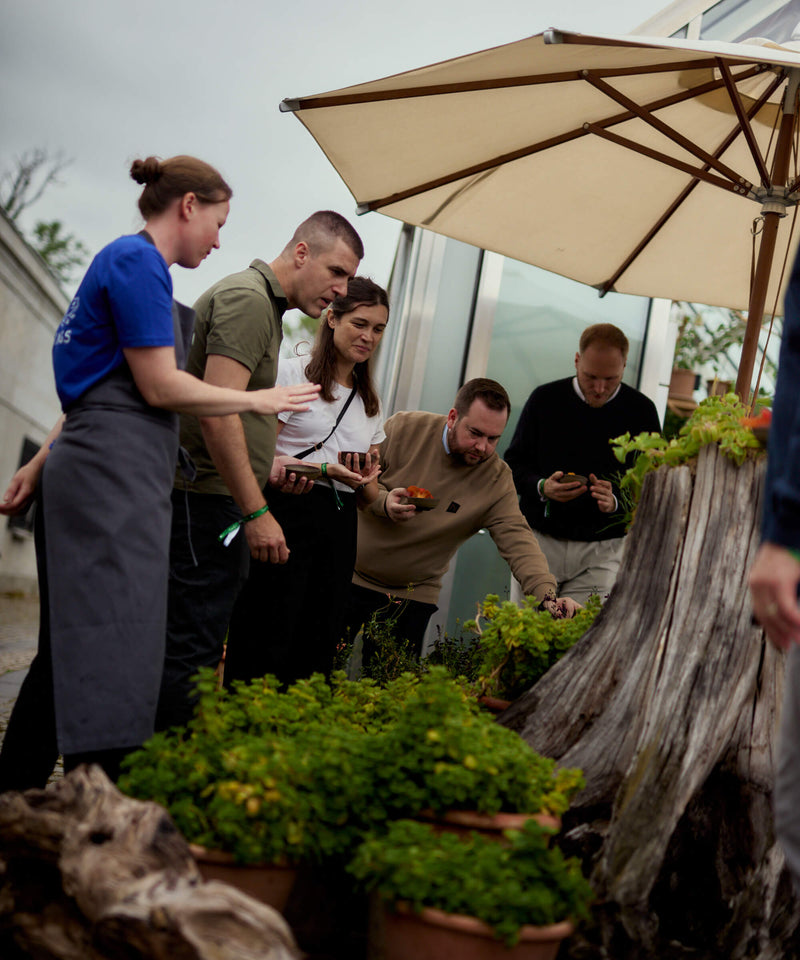 Group of people interacting with plants under an umbrella