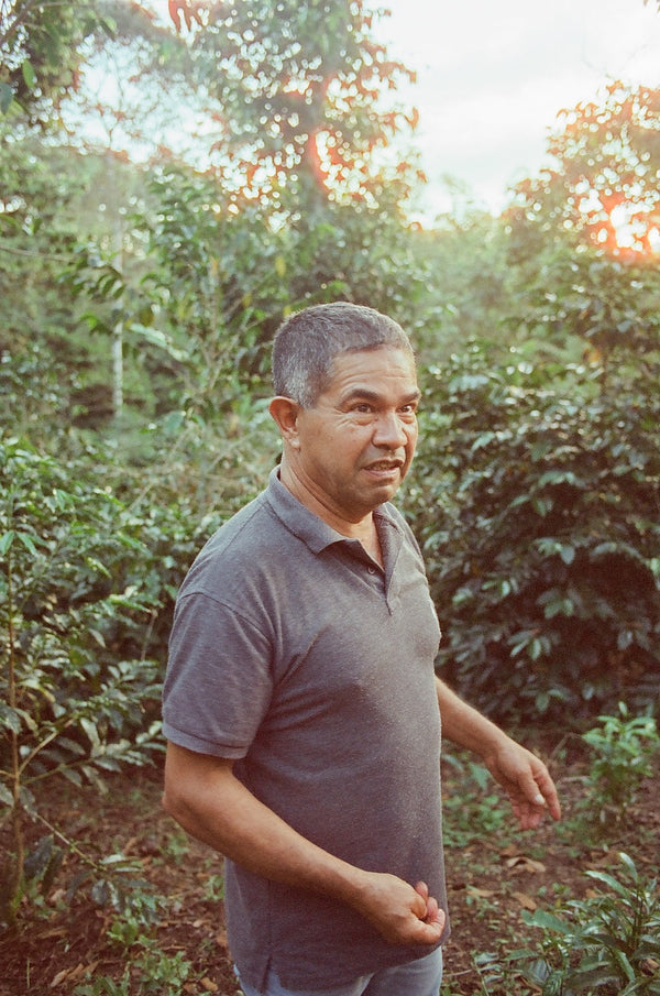 Coffee is a forest plant — Luis Alejandro Ortega’s Geisha & Caturra