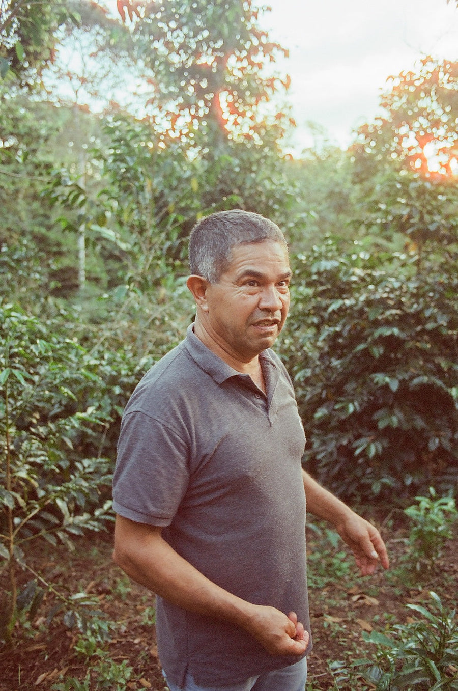 Coffee is a forest plant — Luis Alejandro Ortega’s Geisha & Caturra