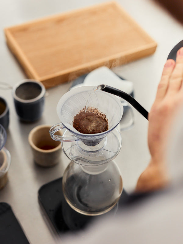 Single-Cup V60 Recipe