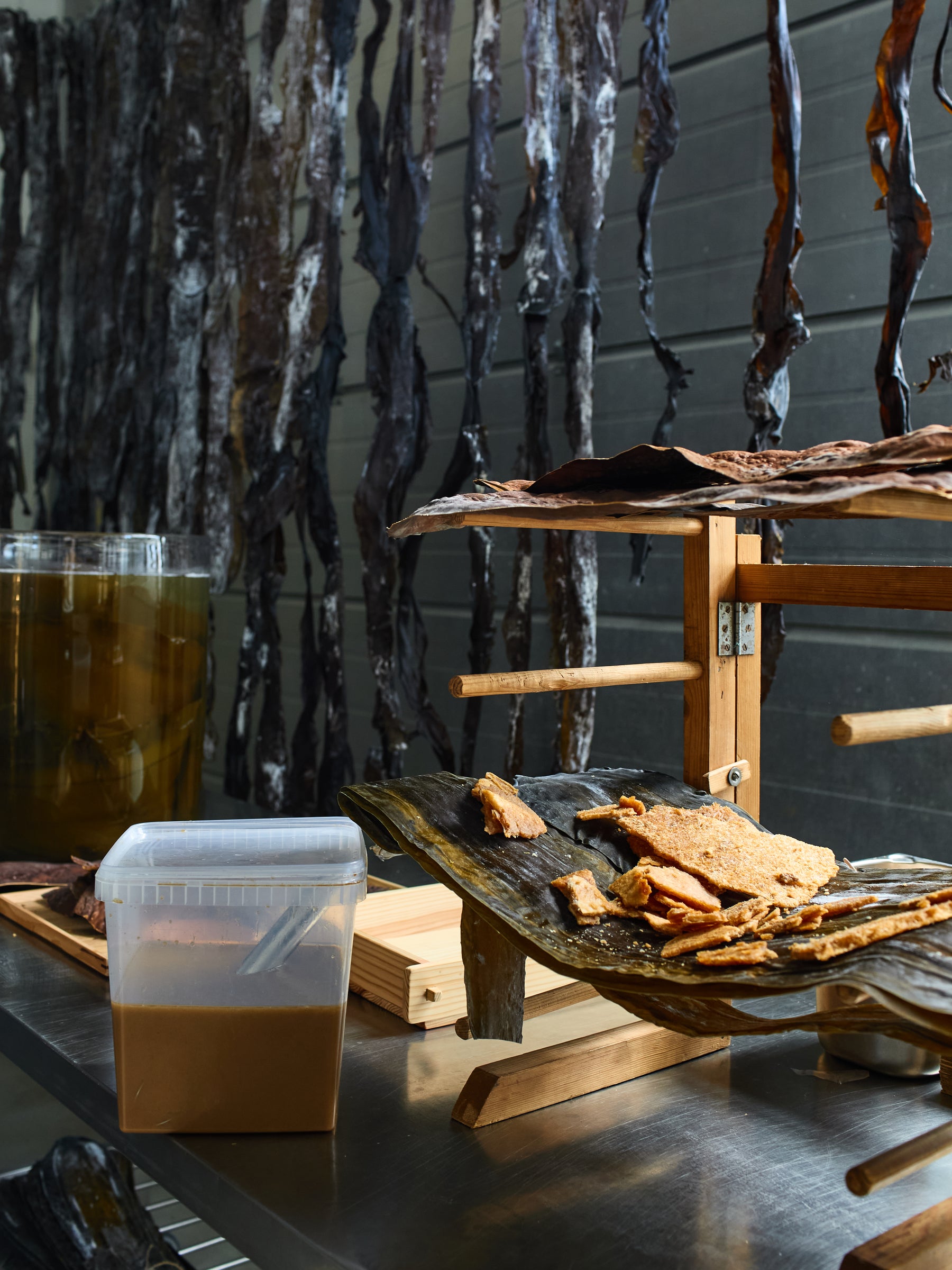 Maximum Umami? · Noma Projects