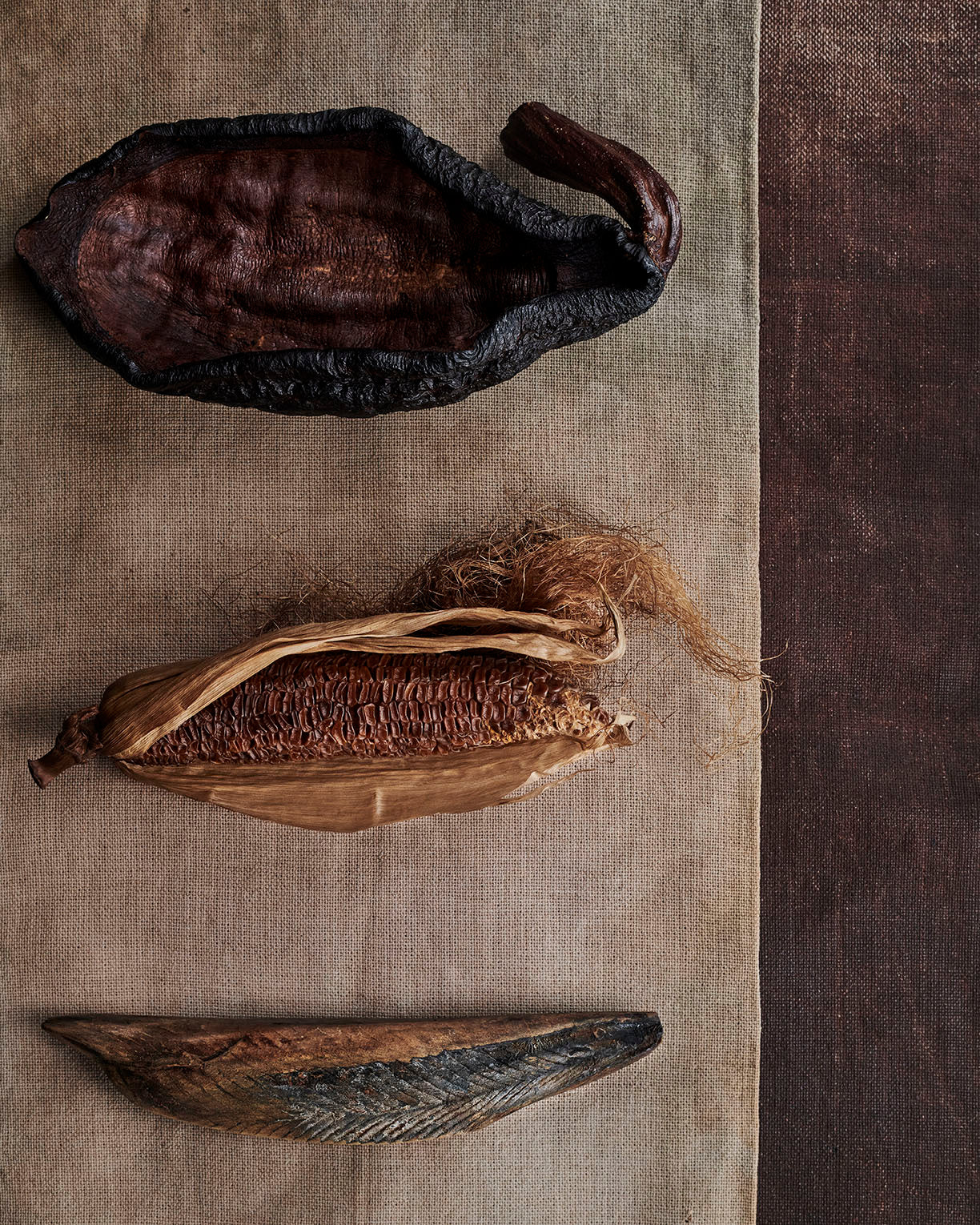 Journal · Noma Projects