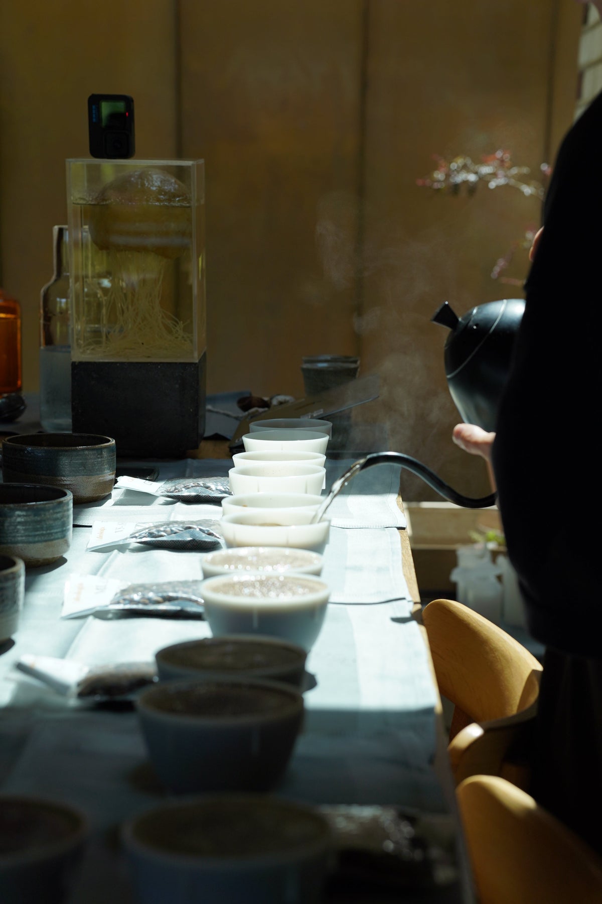 Noma Kaffe 002: Karimikui & Tenejapa Garnica