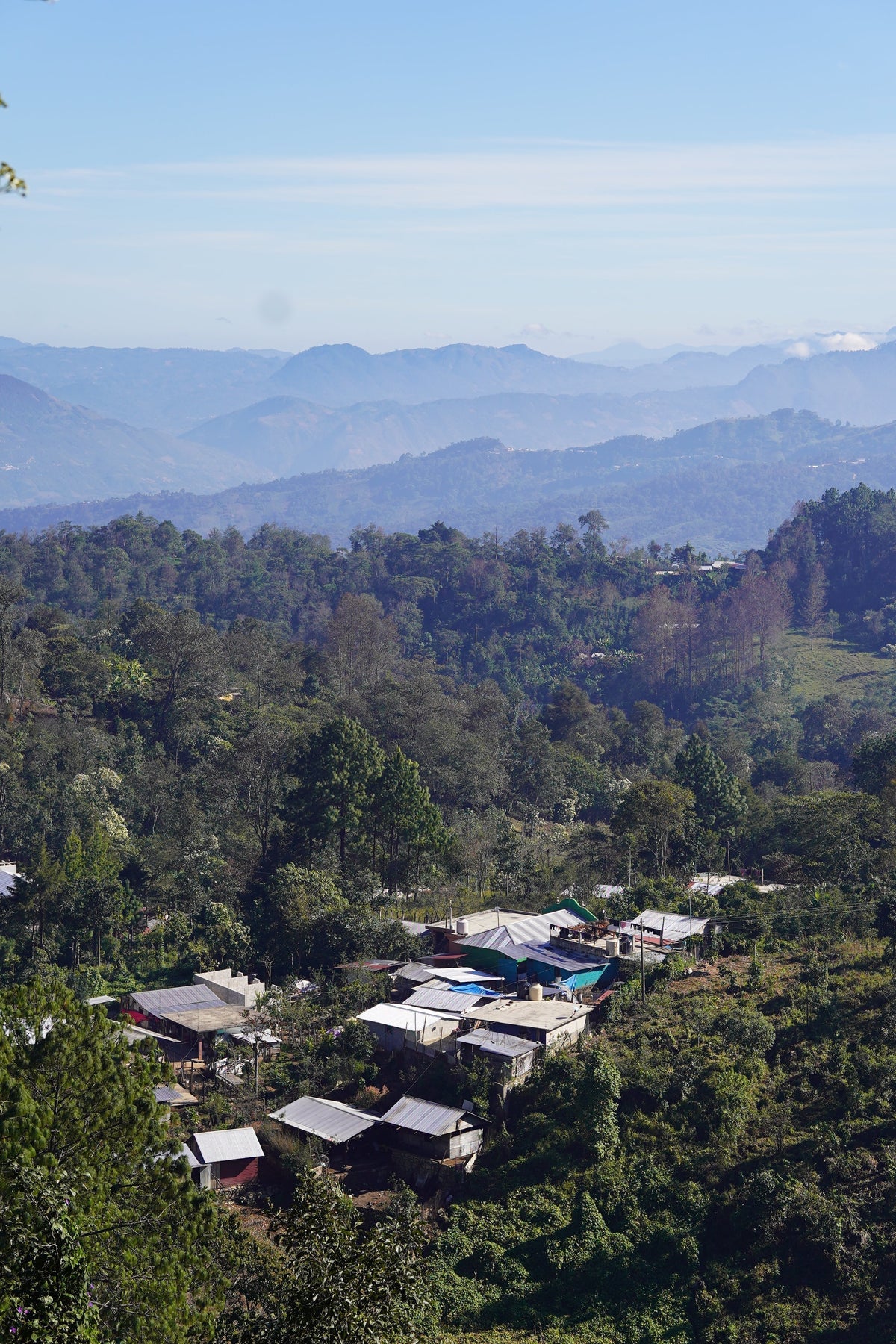 Noma Kaffe 011: Campesinos de Tenejapa