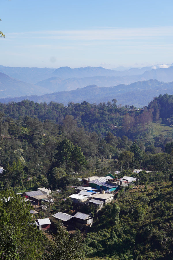 Noma Kaffe 011: Campesinos de Tenejapa