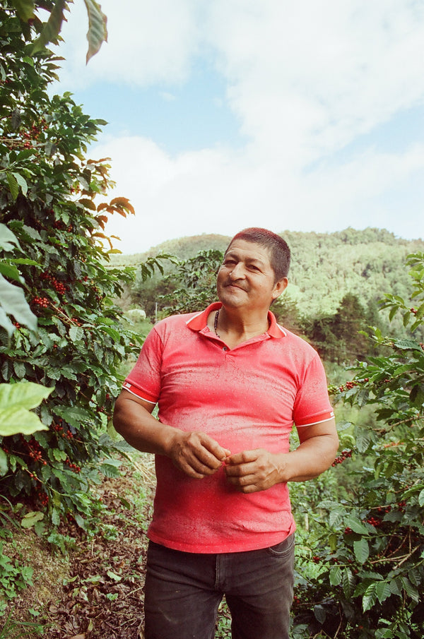 Time, Place, and La Perla del Otun