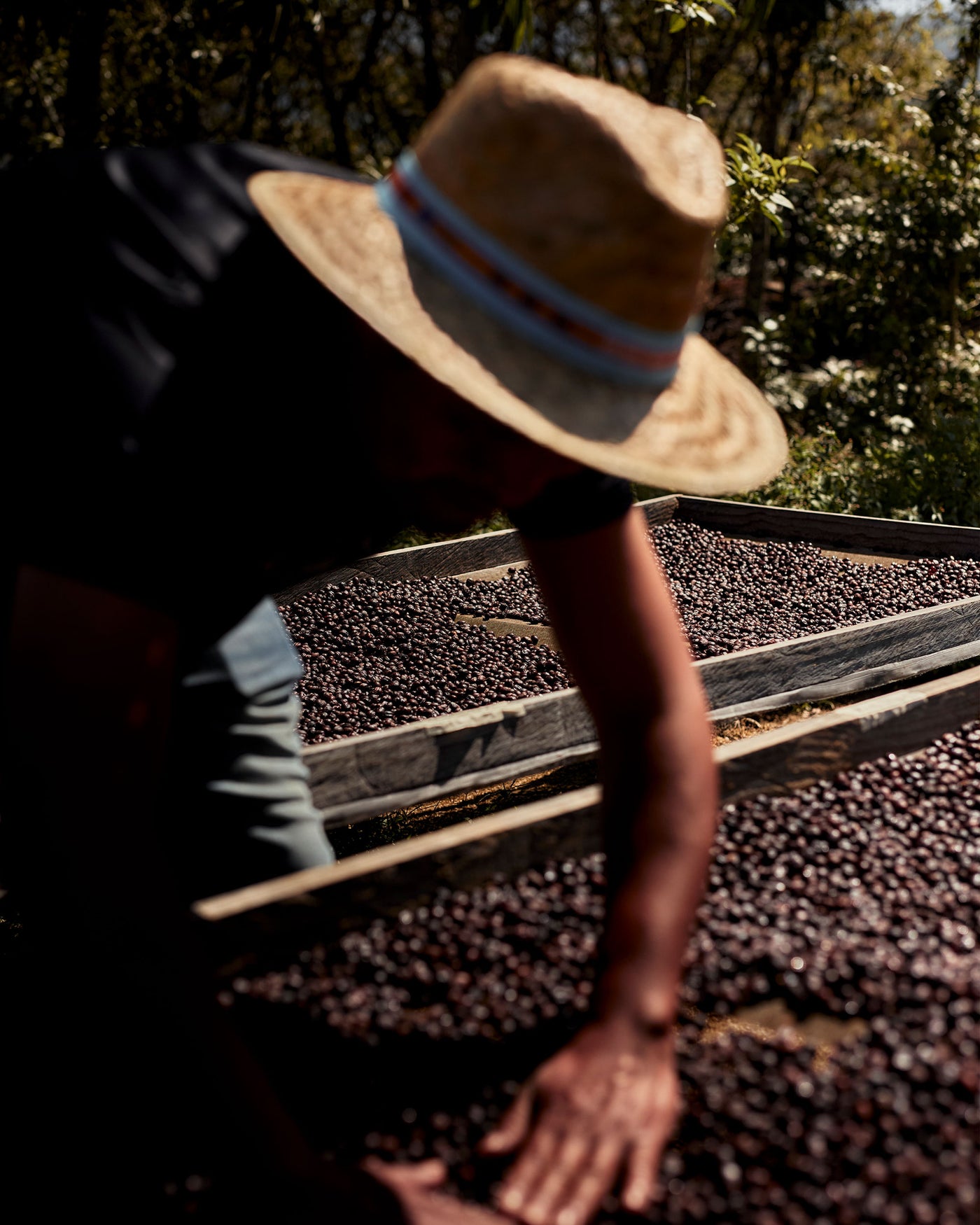 Mexican Coffee Tasting