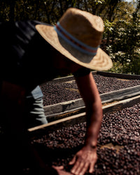 Mexican Coffee Tasting