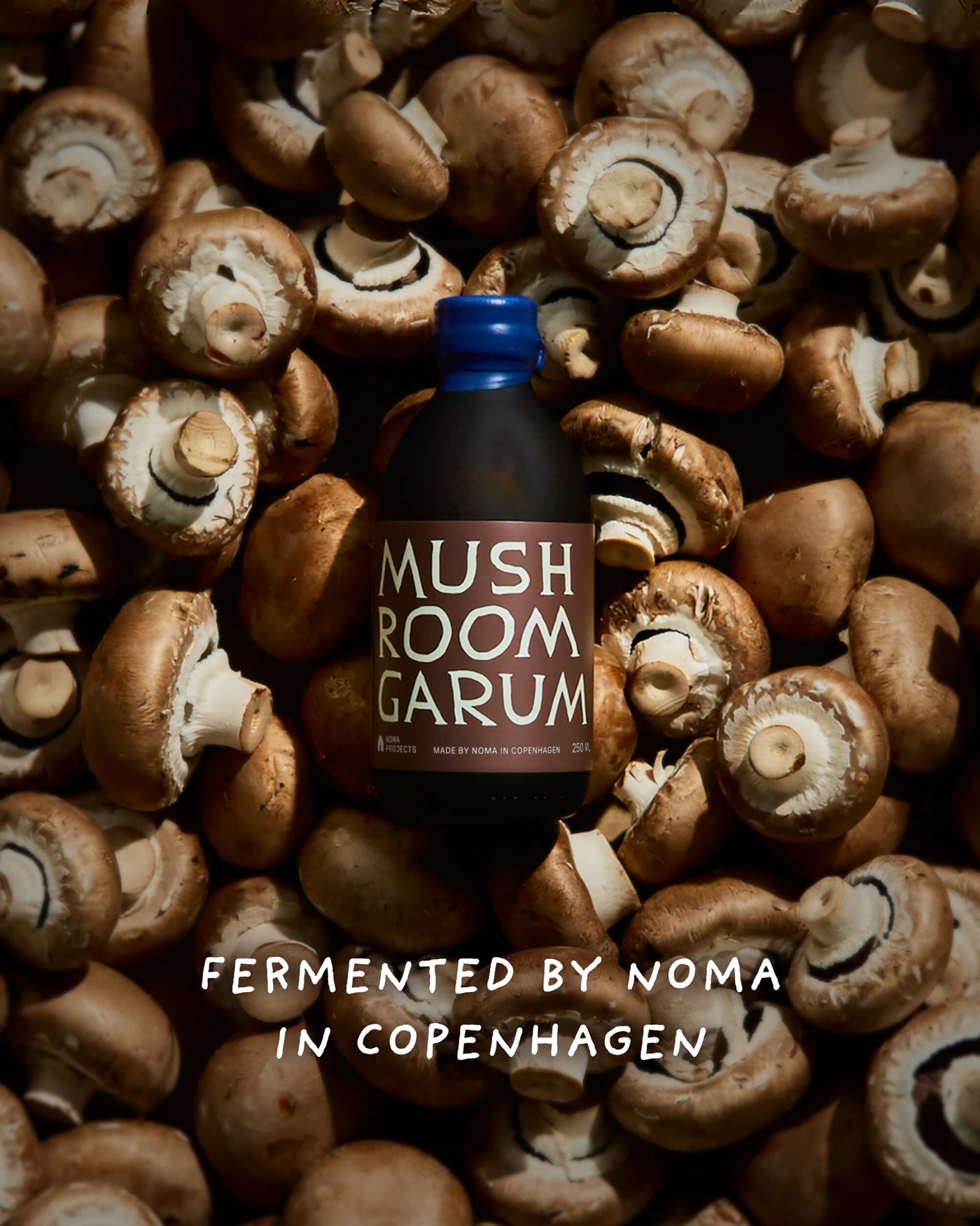 Mushroom Garum
