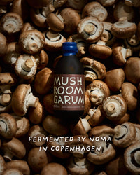 Mushroom Garum