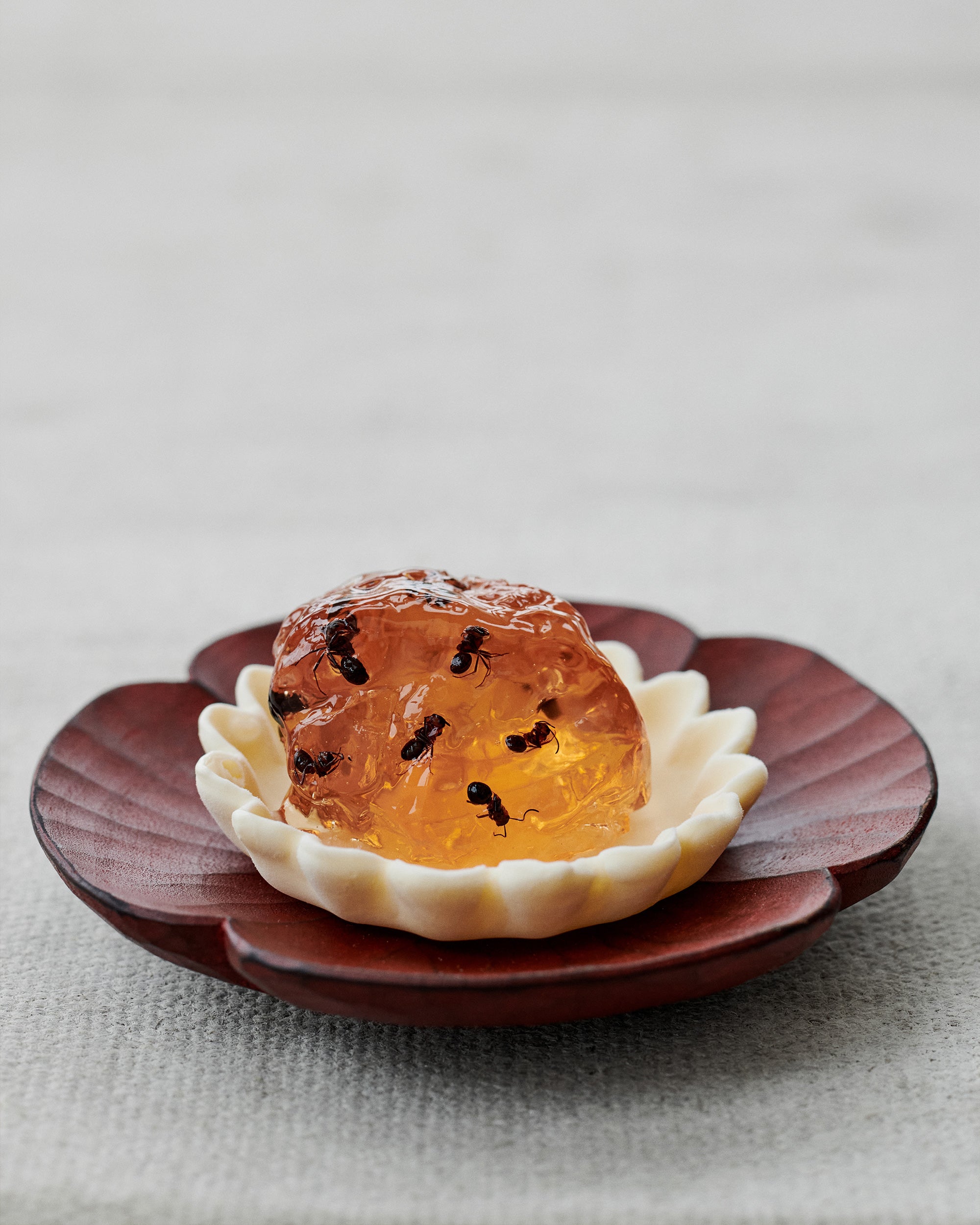 熊の手様　Noma recipes Noma Guide to Building Flavour · Noma Projects