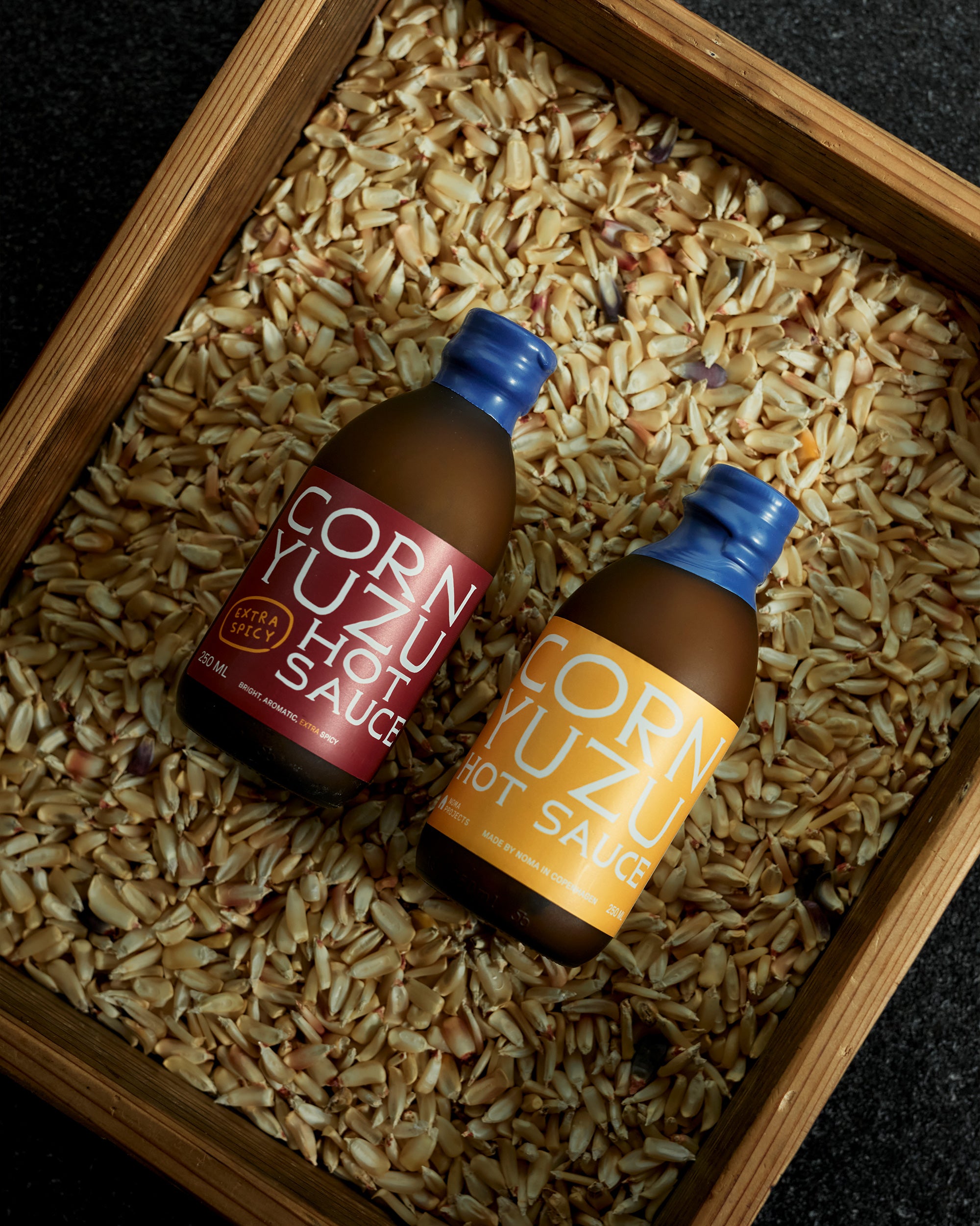 Some Like It Hot · Noma Projects