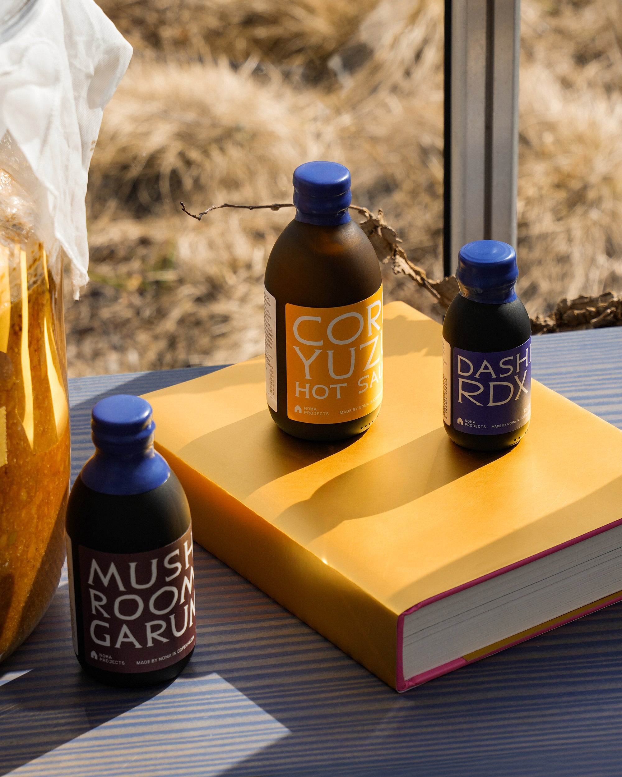 Noma Guide to Building Flavour · Noma Projects