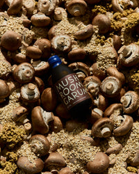 Mushroom Bundle