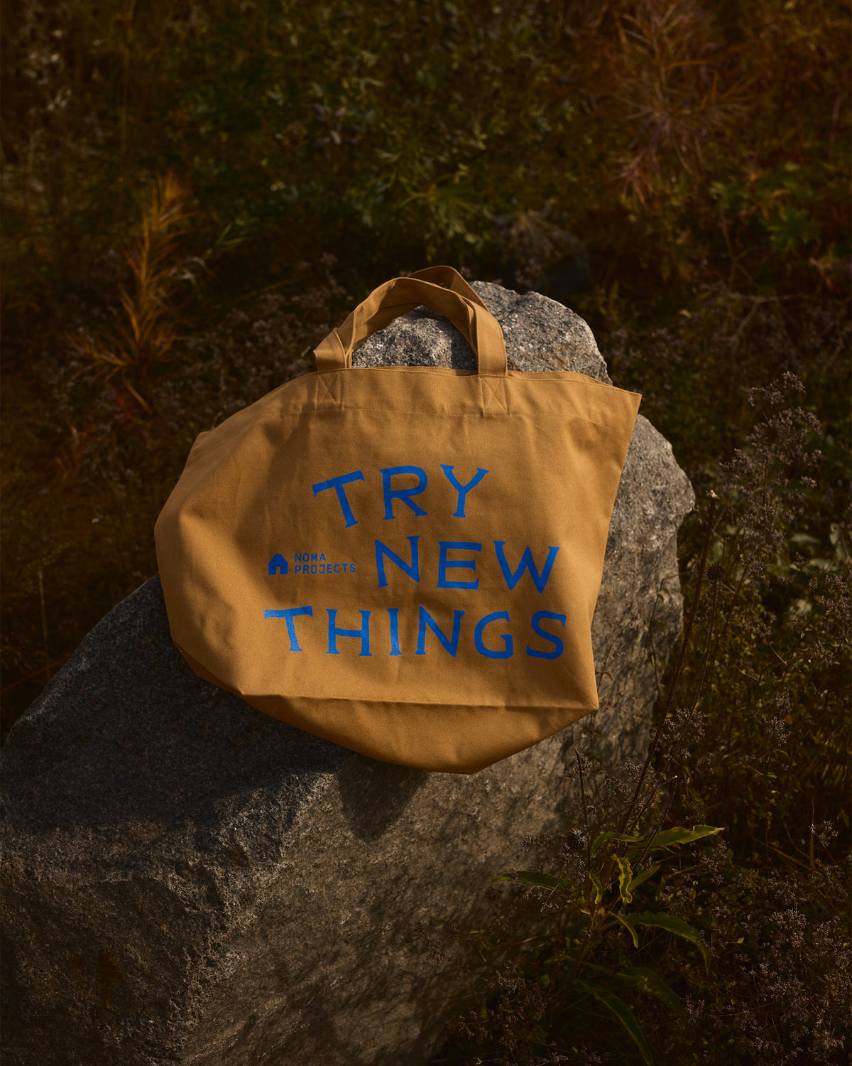 Try New Things Market Bag
