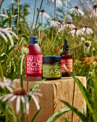 Danish Summer Bundle