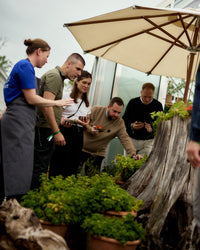Taste Buds Summer Event