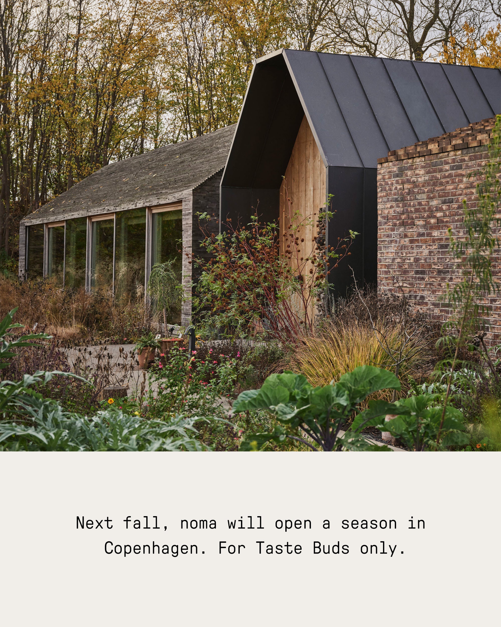 Taste Buds 2026 Unboxed