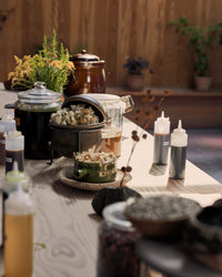 Taste Buds 2027 Membership