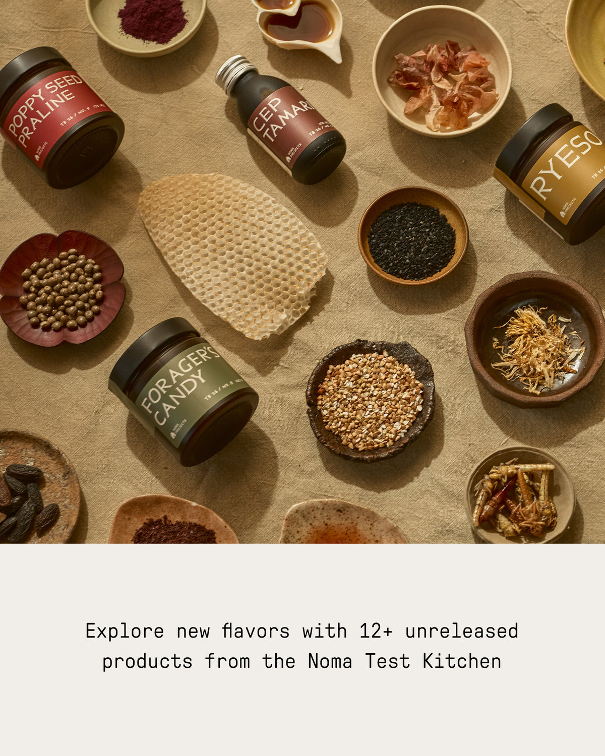 Taste Buds 2027 Membership