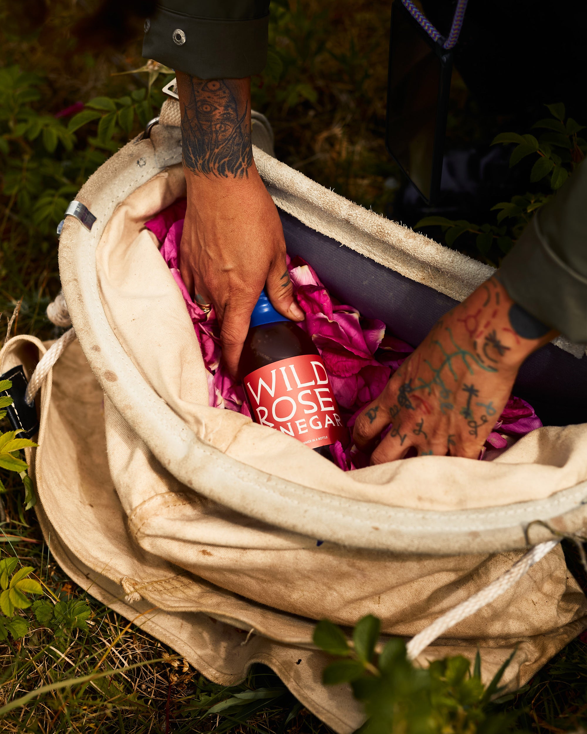Wild Rose Vinegar | Noma Projects · Noma Projects