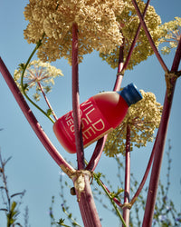 Wild Rose Vinegar