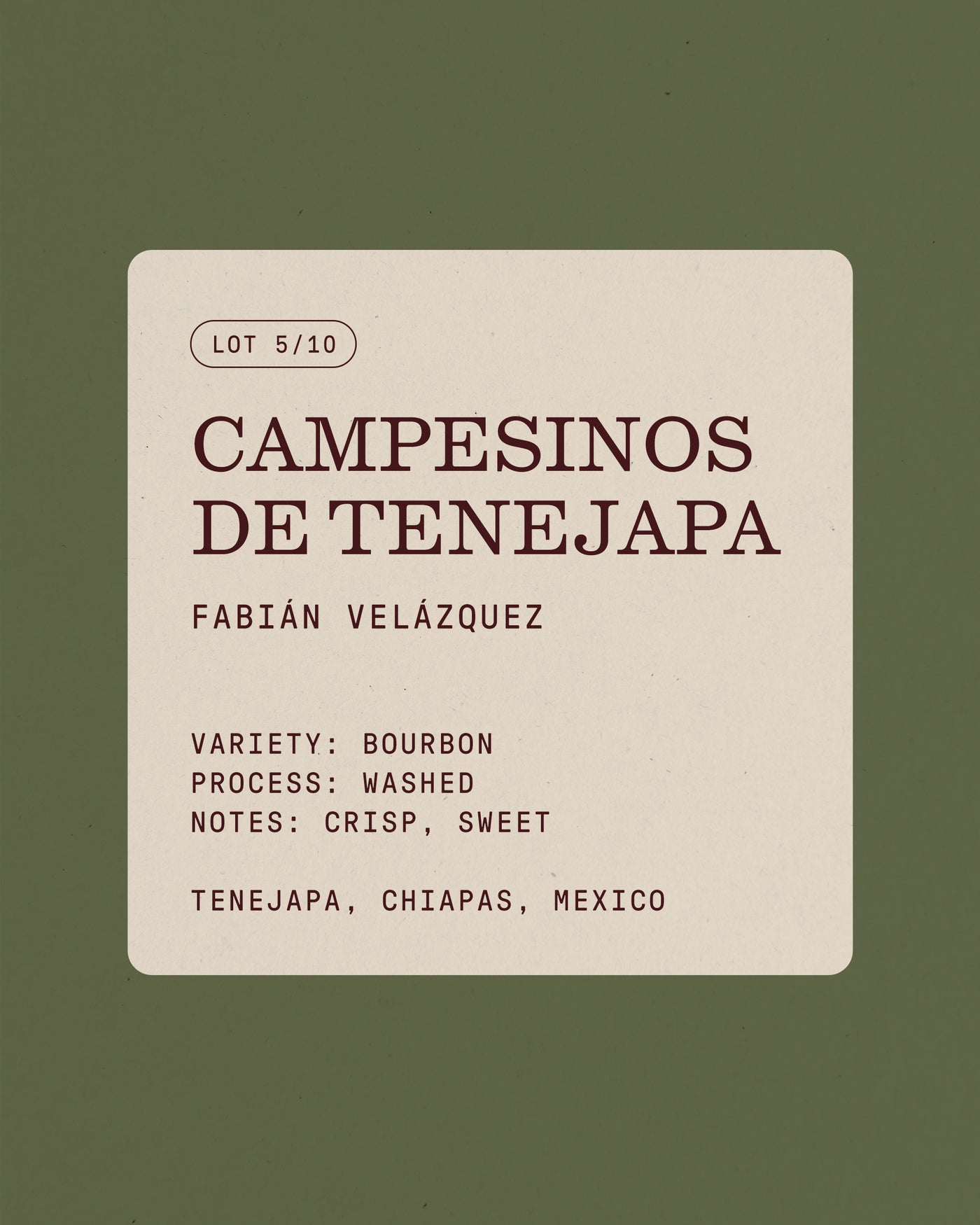 Campesinos de Tenejapa, Filter Roast