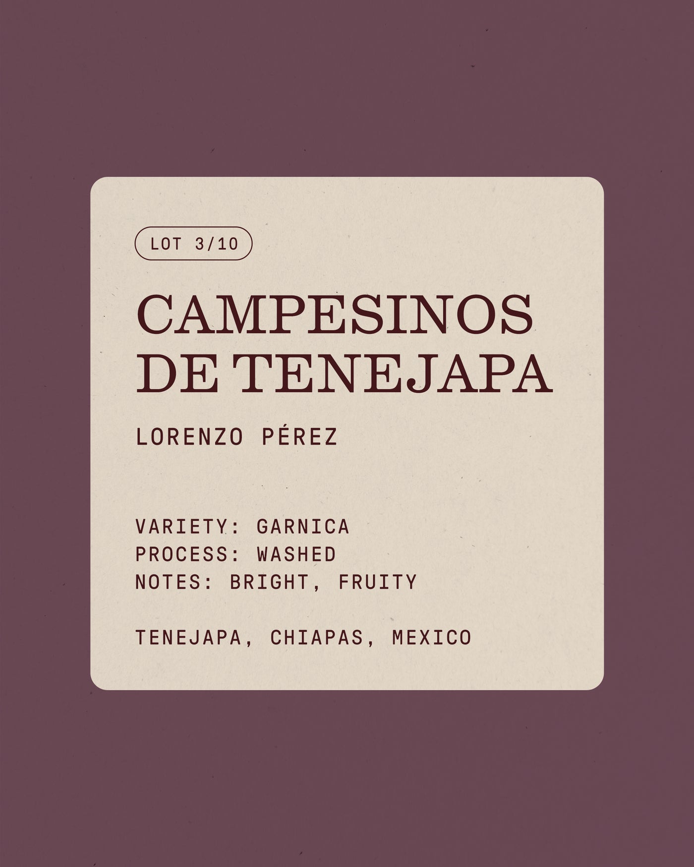 Campesinos de Tenejapa, Filter Roast
