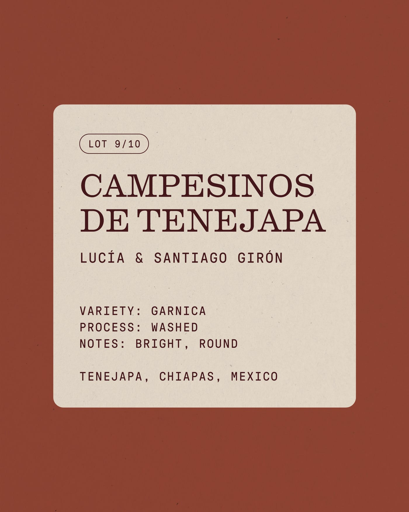 Campesinos de Tenejapa, Filter Roast