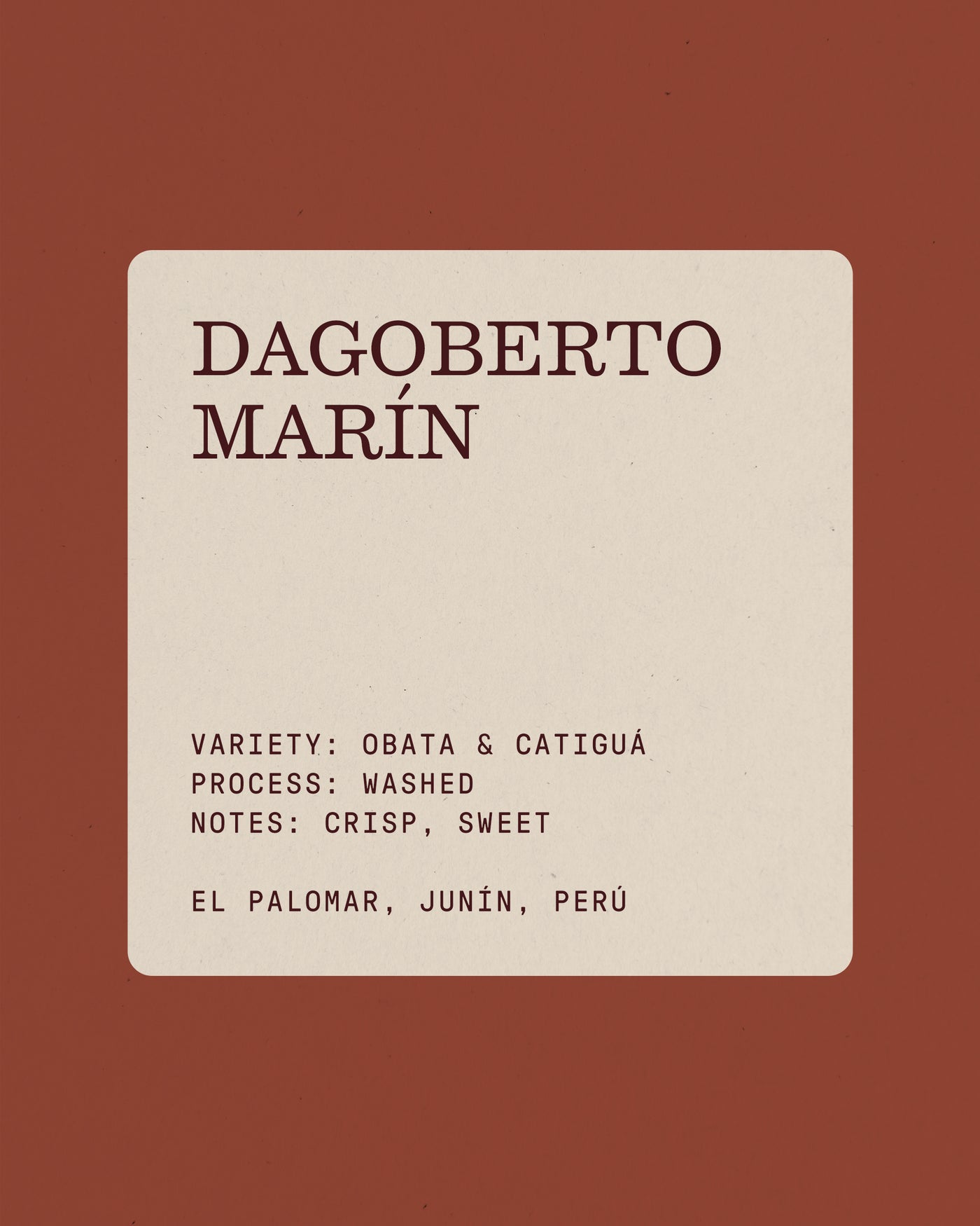 Dagoberto Marín, Filter Roast