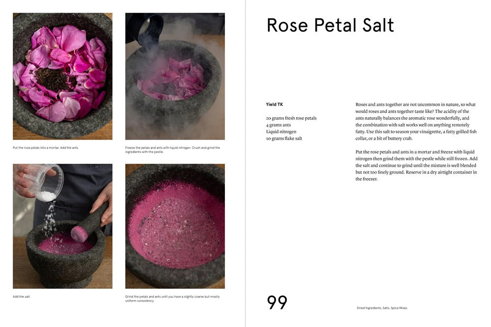 Noma Guide to Building Flavour · Noma Projects
