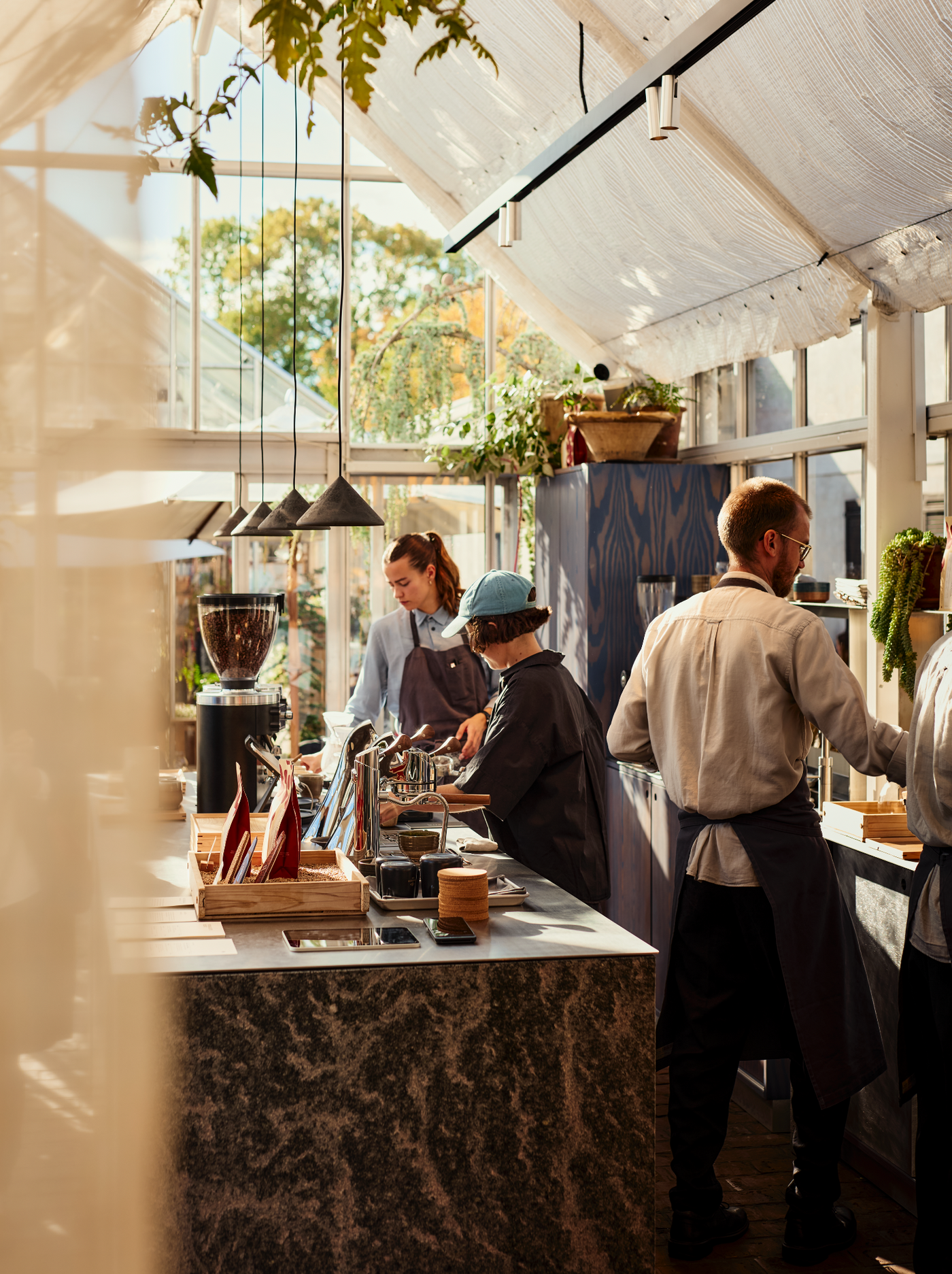 Mexican Coffee Tasting
